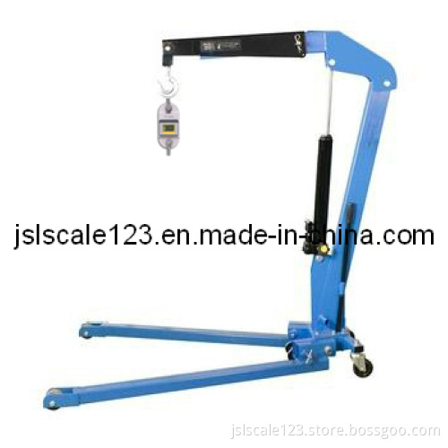 Zoological Lifter Scale